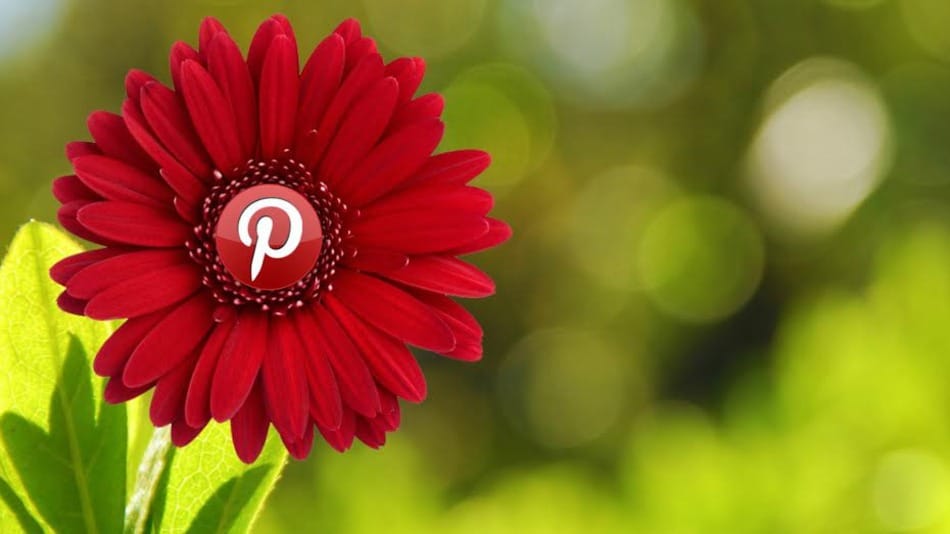 Pinterest logo icon on flower